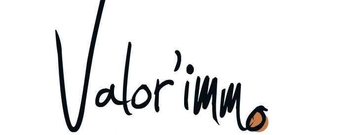 logo Valor immo ss mention