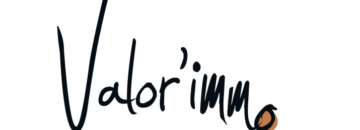 logo Valor immo ss mention