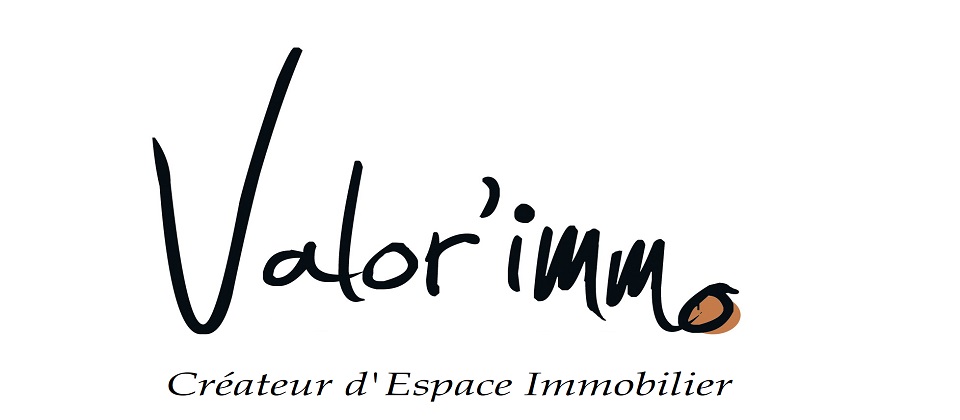 logo Valor immo pour site